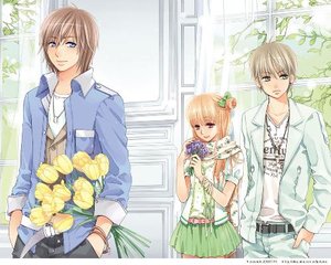 芒果视频网页版